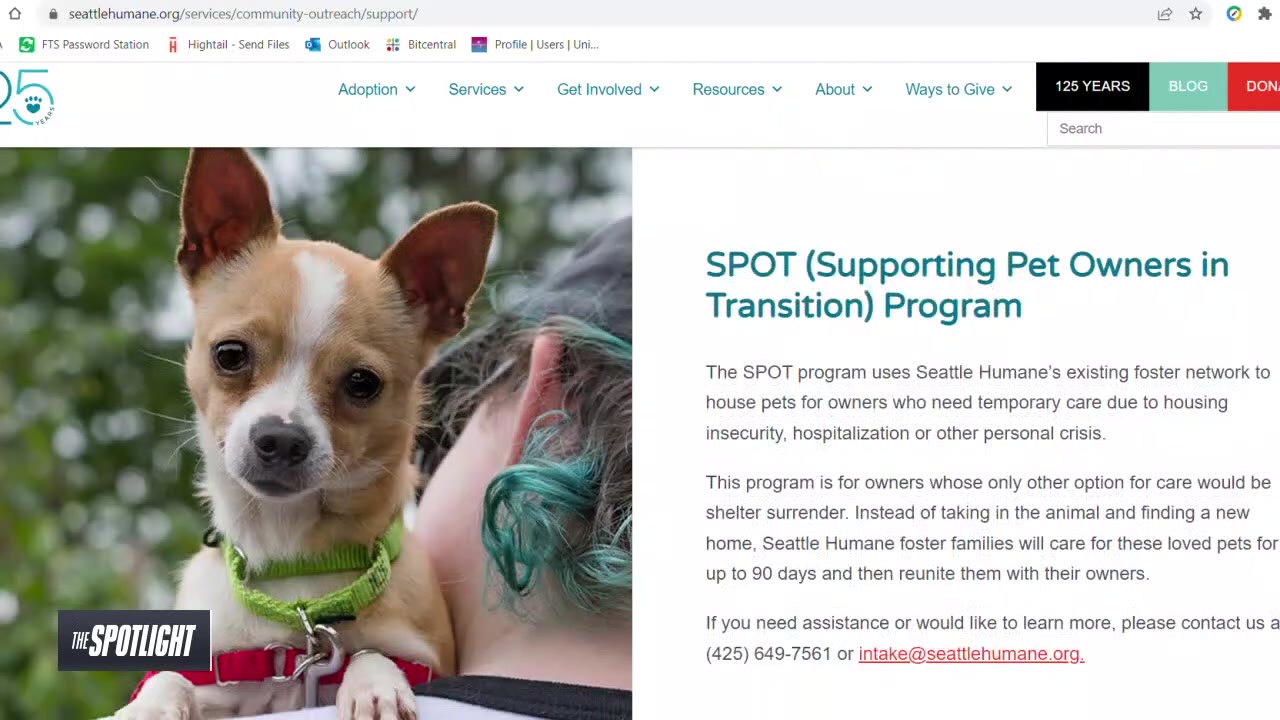 The Spotlight: Resources for pet owners in abuse relationships