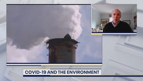 COVID-19 has had immense impacts on the environment