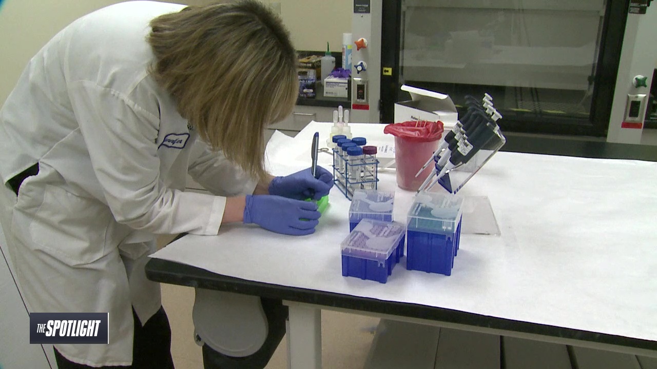 The Spotlight: Genetic Informants