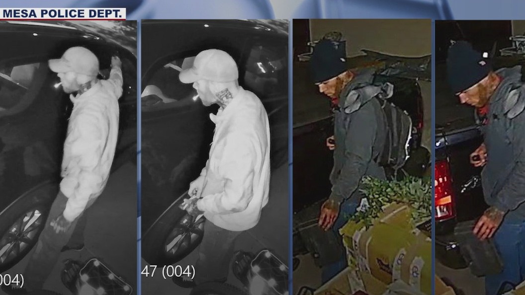 Mesa Police look for suspect in string of burglaries | FOX 10 Phoenix