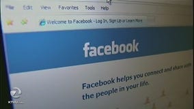 How Facebook likes could profile voters for manipulation