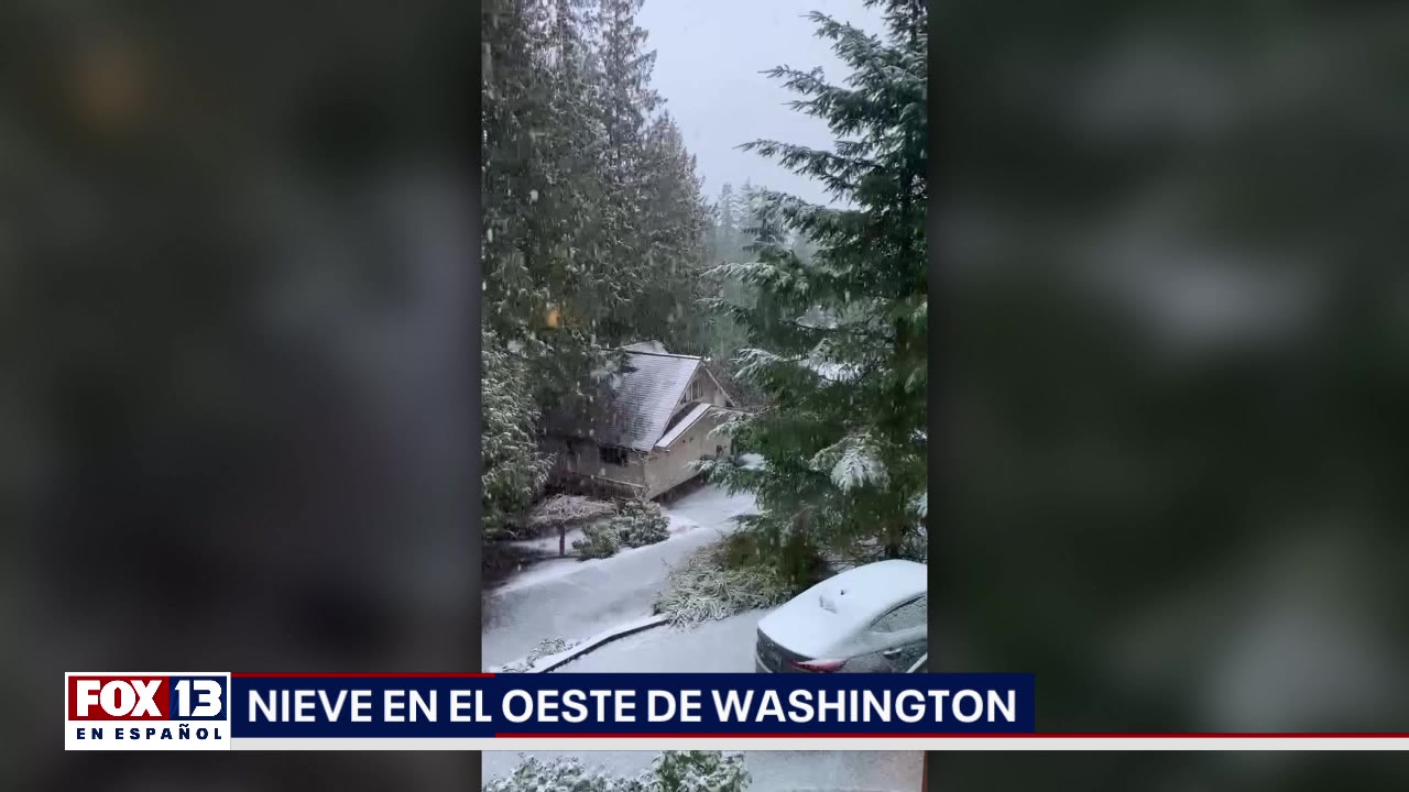 ?ltimas noticias con el noticiero FOX 13 Seattle: Martes, 28 de febrero