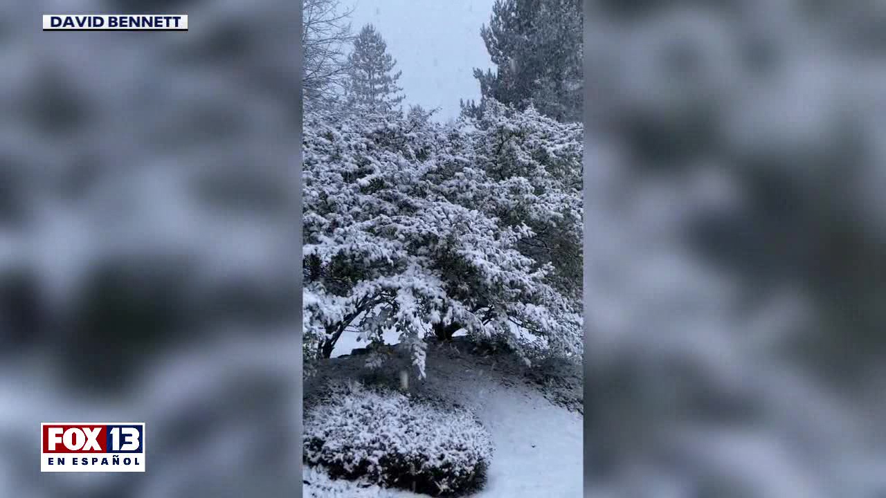 ?ltimas noticias con el noticiero FOX 13 Seattle: Miercoles, 22 de febrero