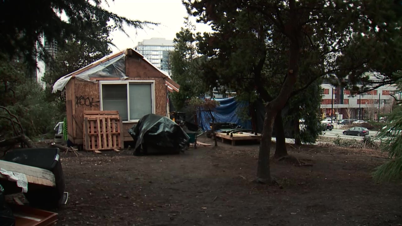 Homelessness crisis: Couple builds tiny home along I-5 on-ramp in Seattle