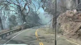 Damaging fires fanned by strong winds in Maui, Hawaii
