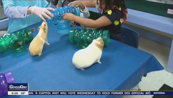 Bob on the Job: Animal Caregiver