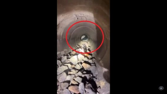 VIDEO: Pierce County deputy rescues dog hiding in pipe after being hit by car