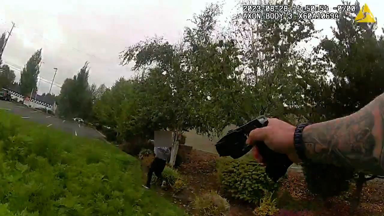 Woman leads Pierce Co. deputies on chase in stolen car, tries to evade arrest by stealing second car