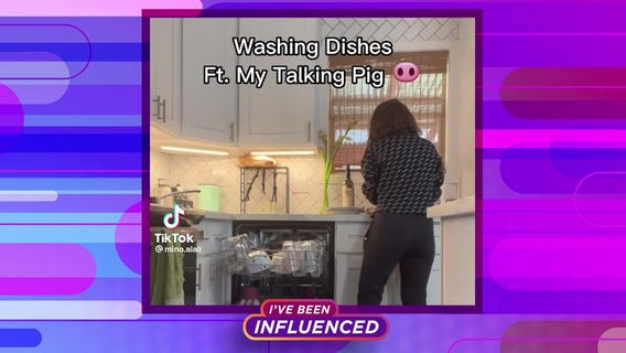 I?ve Been Influenced: Merlin the Talking Pig