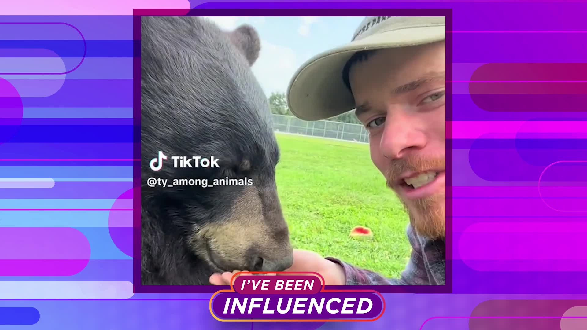 I've Been Influenced: Ty Among Animals