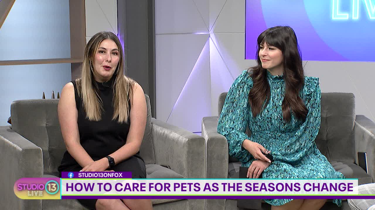 Urban Animal shares tips to keep pets safe heading into the holidays