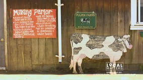 SPONSORED: National Dairy Month