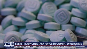 Everett launches task force to combat drug crisis