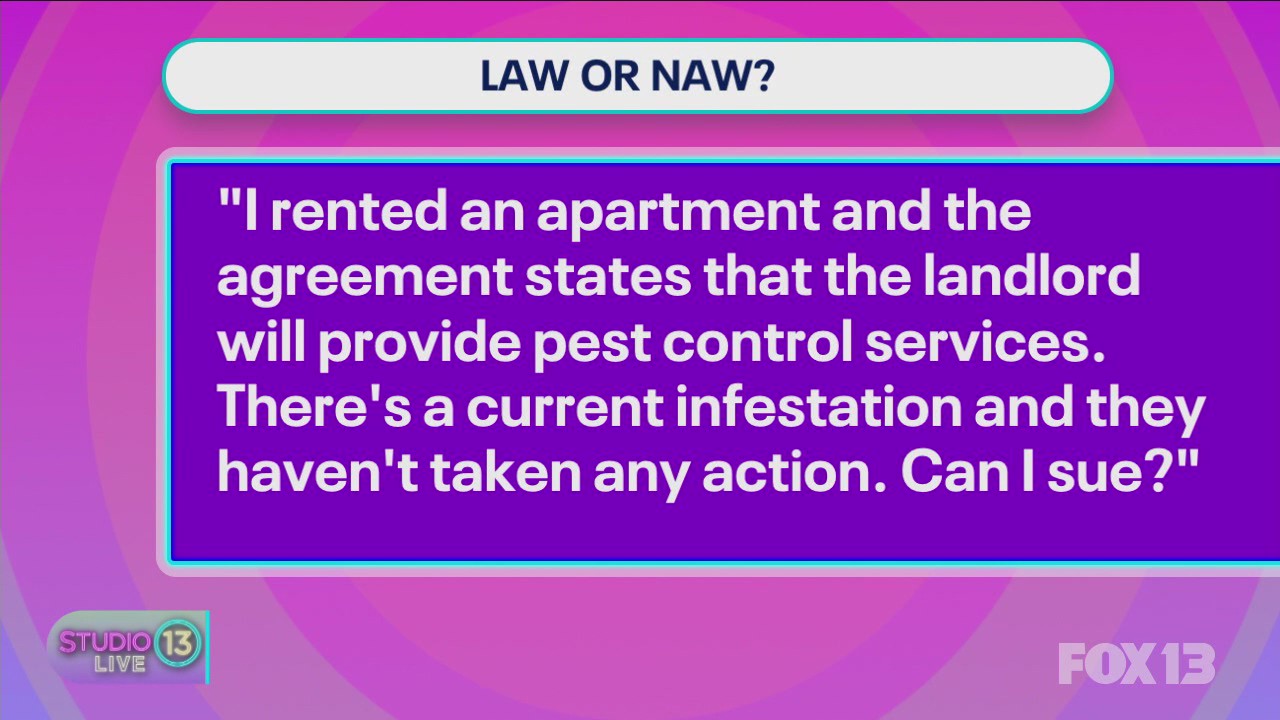 Law or Naw: Local lawyers answer your legal questions