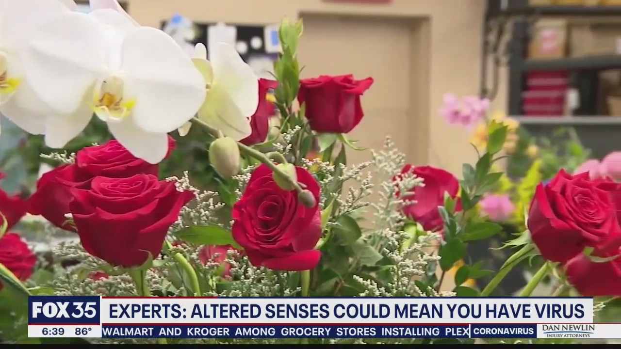 Altered senses reported by some coronavirus patients