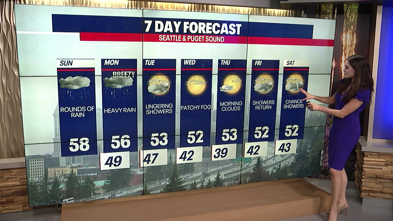 Rain continues into the week, followed by fog and clouds