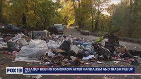 Residents upset by vandalism, homeless encampments