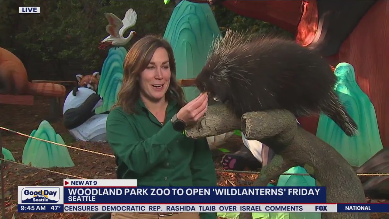 Woodland Park Zoo to open 'WildLanterns'