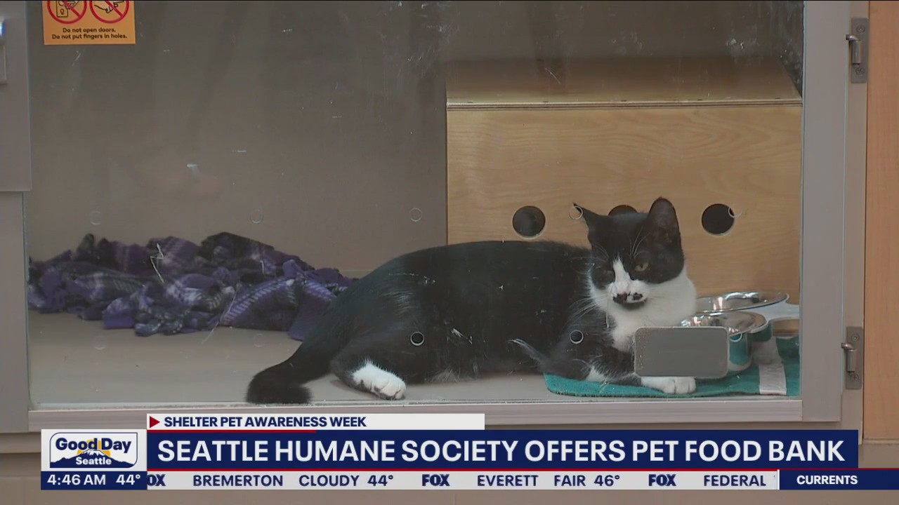 Seattle Humane Society offers pet food bank
