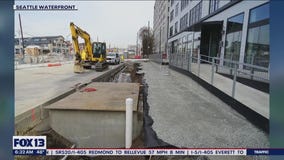 New Marion Street pedestrian bridge opens