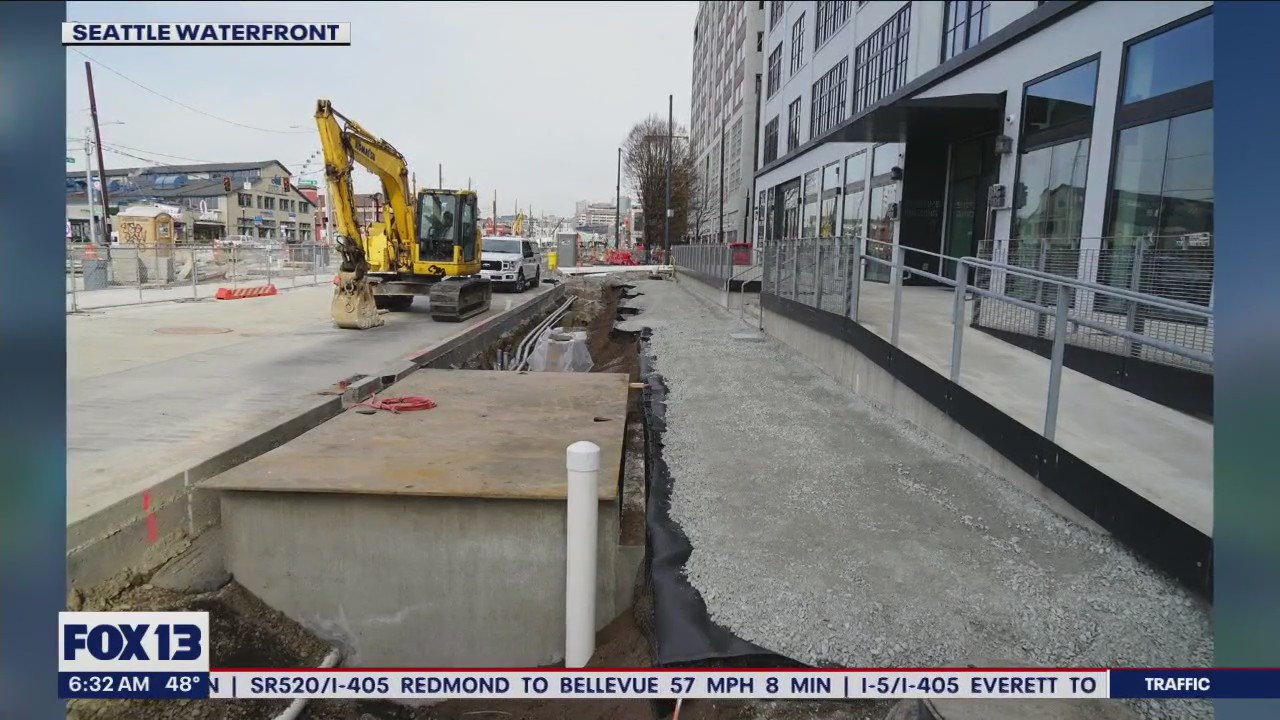 New Marion Street pedestrian bridge opens