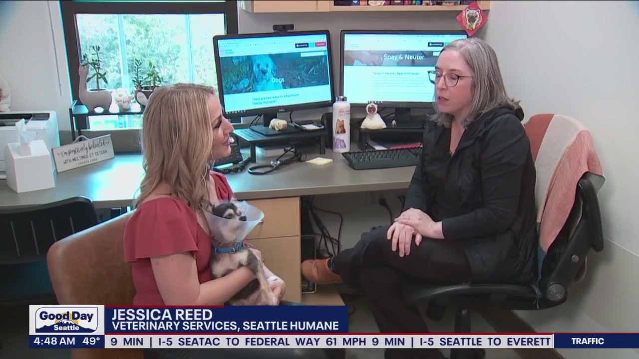 Shelter pet awareness week at Seattle Humane