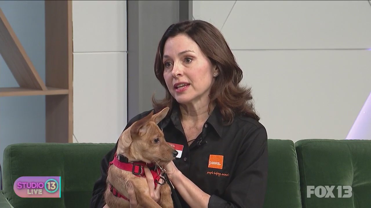 Brand new wildlife rehabilitation facility at PAWS