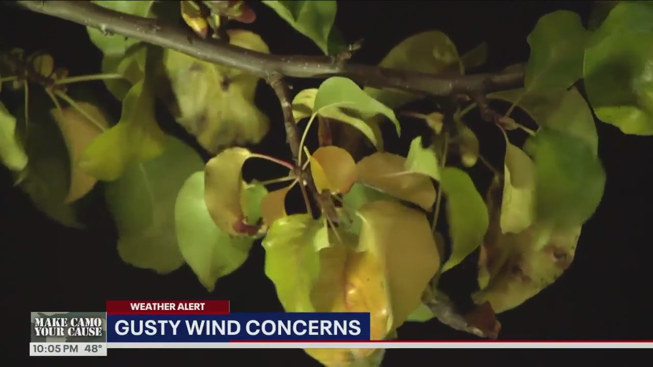 Gusty wind concerns in Western Washington