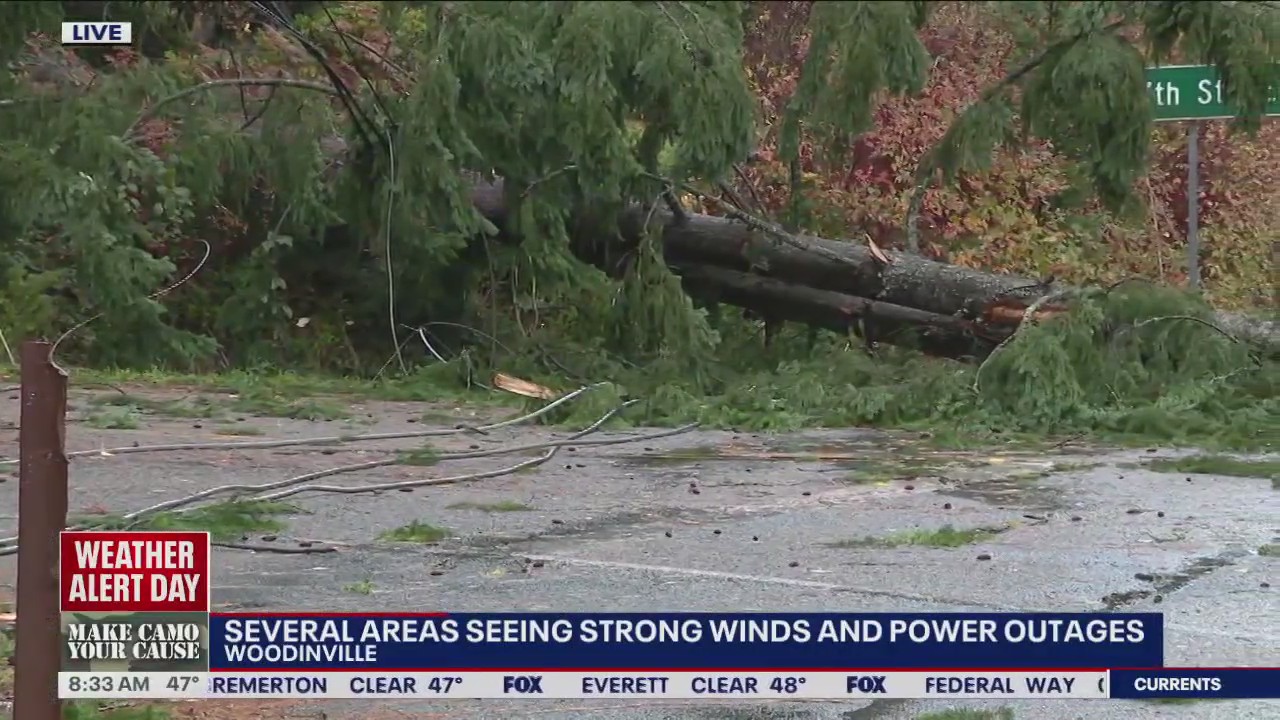 Several areas experience strong winds, power outages