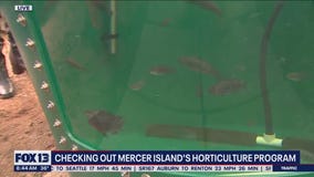 Checking out Mercer Island's horticulture program