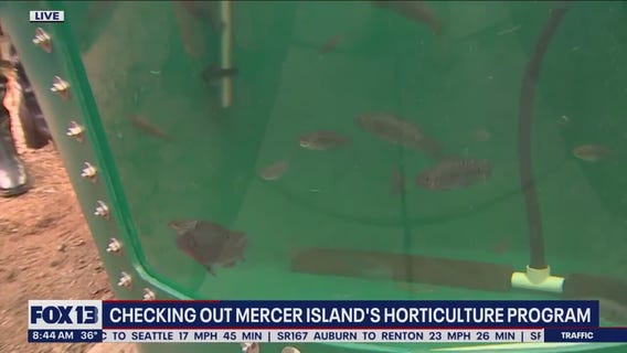 Checking out Mercer Island's horticulture program