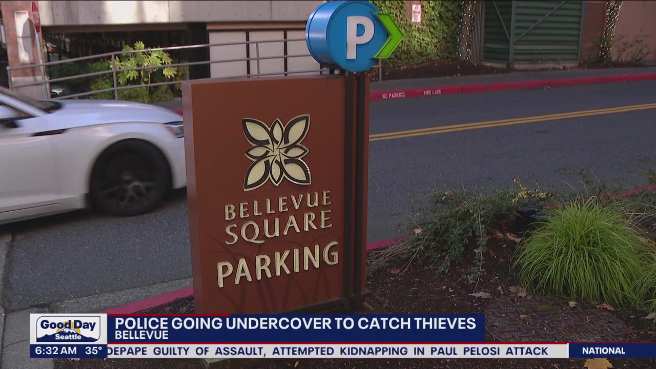 Police going undercover to catch thieves