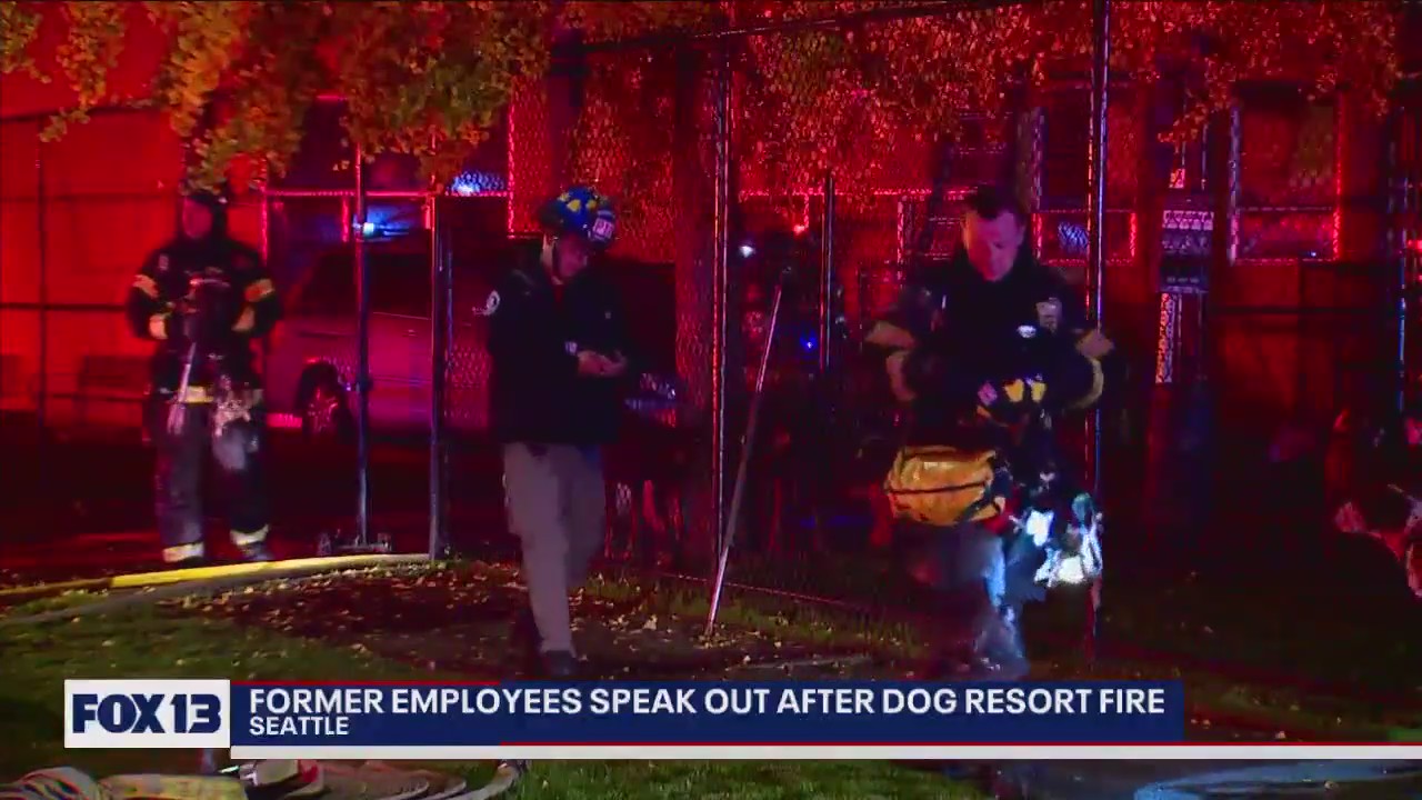 Former employees speak out after dog resort fire | FOX 13 Seattle