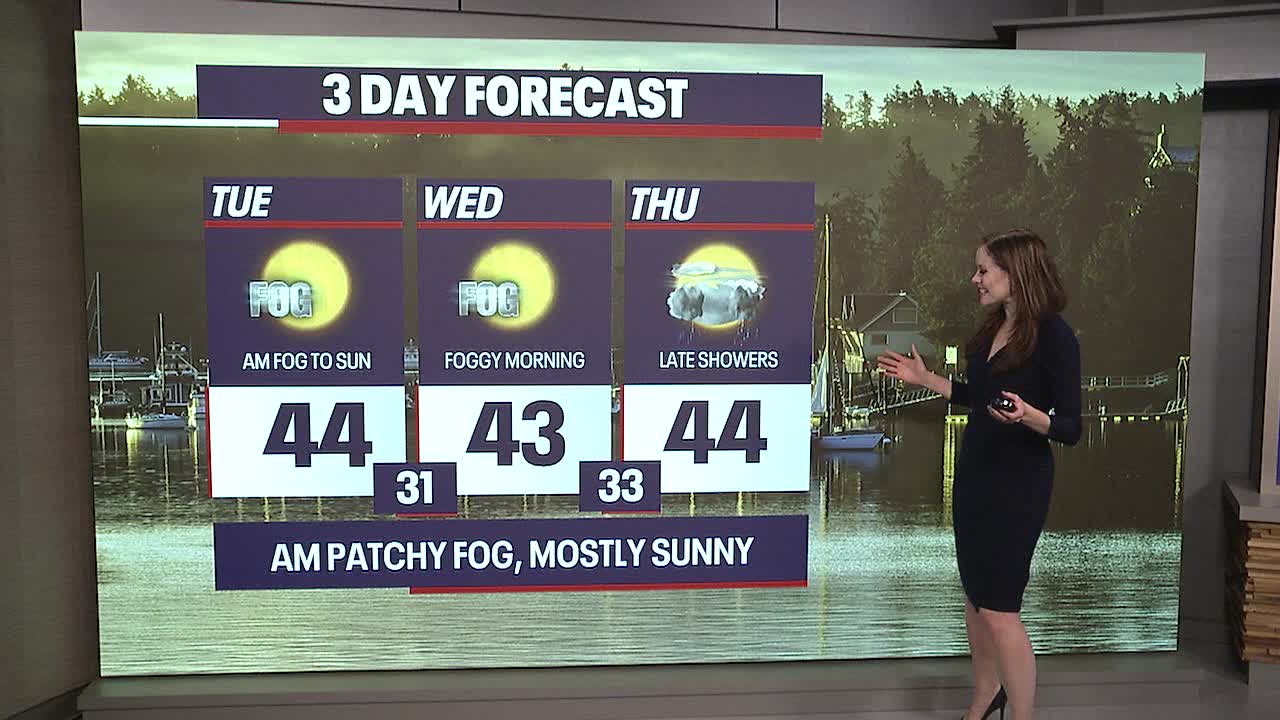 Seattle weather: Patchy morning fog, mostly sunny afternoons