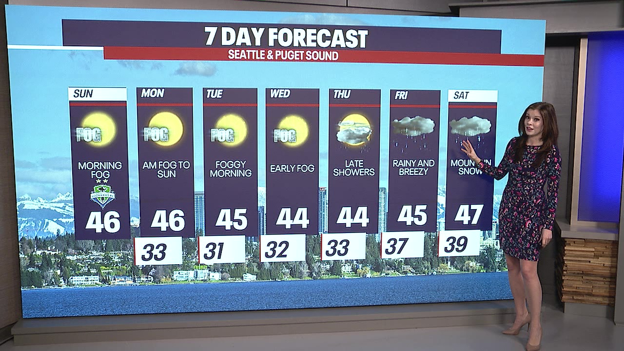 Foggy close to November, rainy start to December