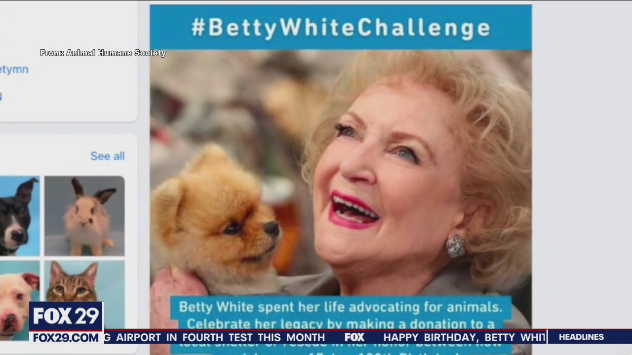 Betty White Challenge: Local animal shelter overwhelmed by public generosity