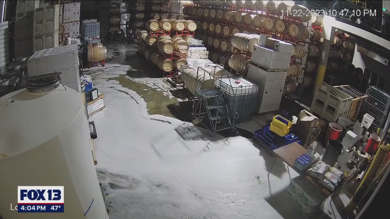 Cowboy clad crook causes chaos at winery