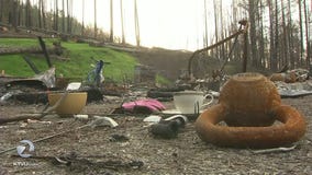 Fire scavengers arrested