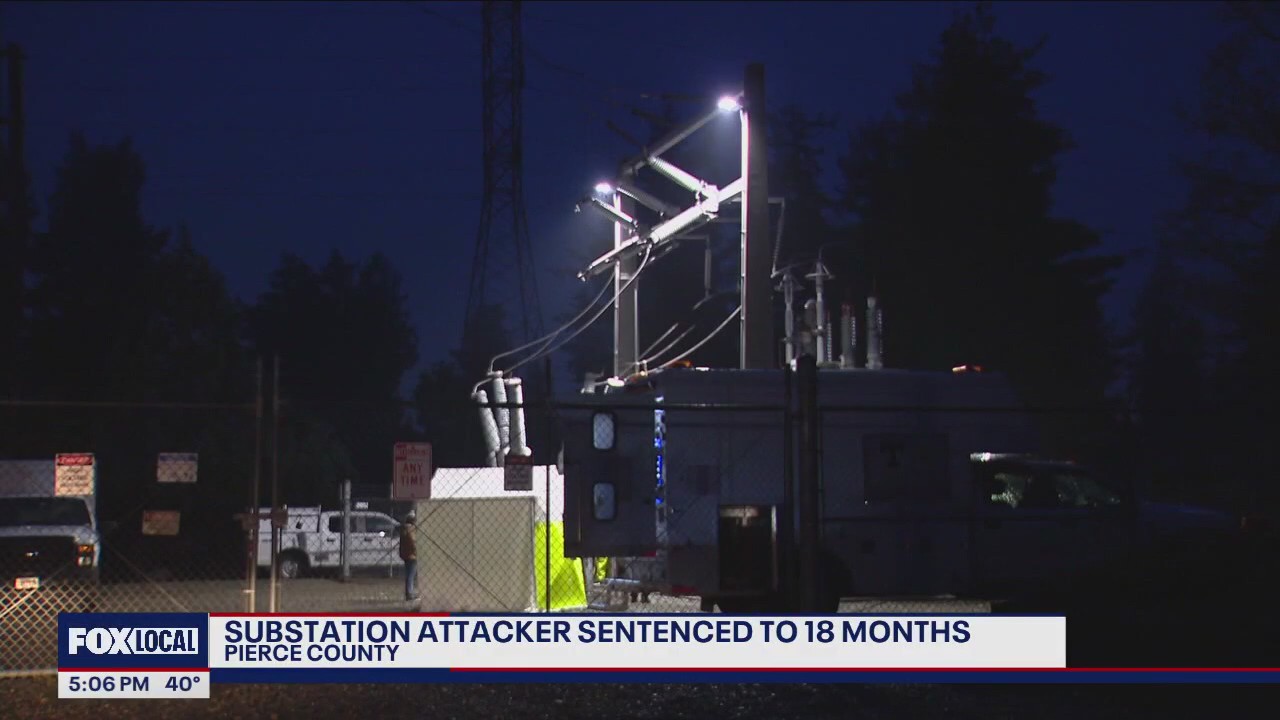 Christmas Day substation attacker sentenced to prison