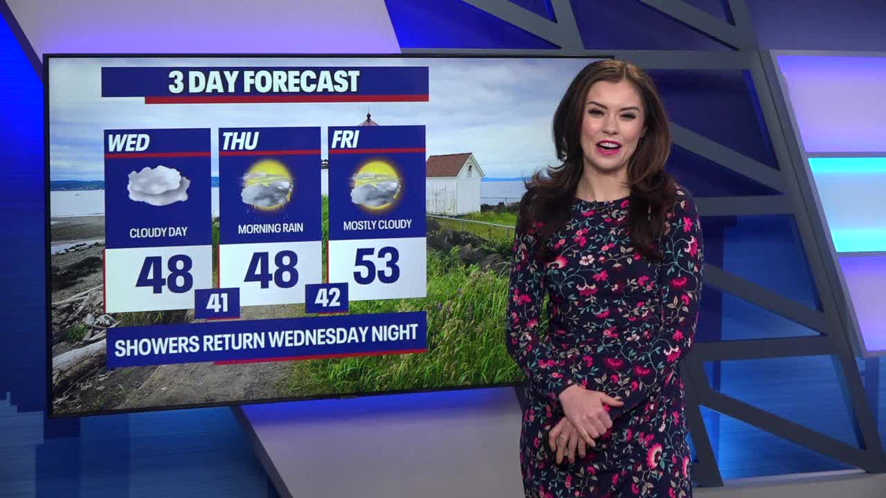 Seattle weather: Showers return Wednesday night
