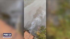 EPA: BP-operated Olympic Pipeline vault spilled 30,000 gallons of gasoline into Washington waters