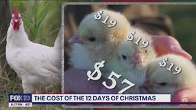 12 Days of Christmas: How much would it all cost in 2023?