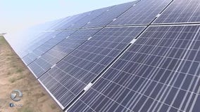 Local industry reacts to Trump tariffs on imported solar panels