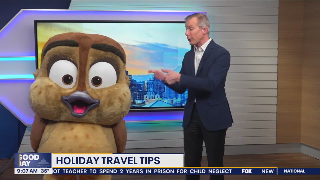 Holiday travel tips