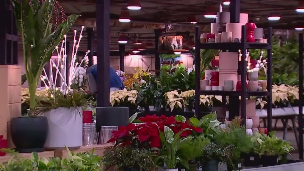 Molbak's Garden + Home announces its closure