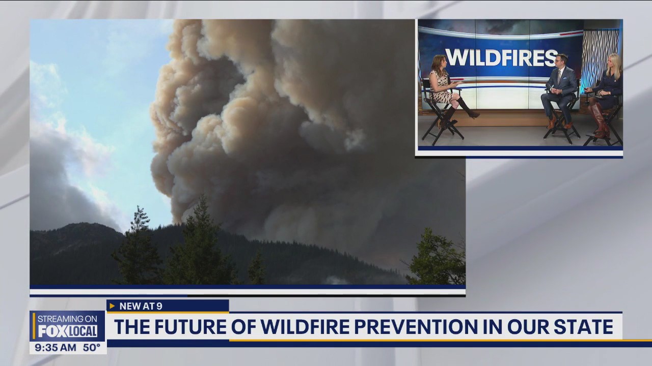 Future of wildfire prevention in our state