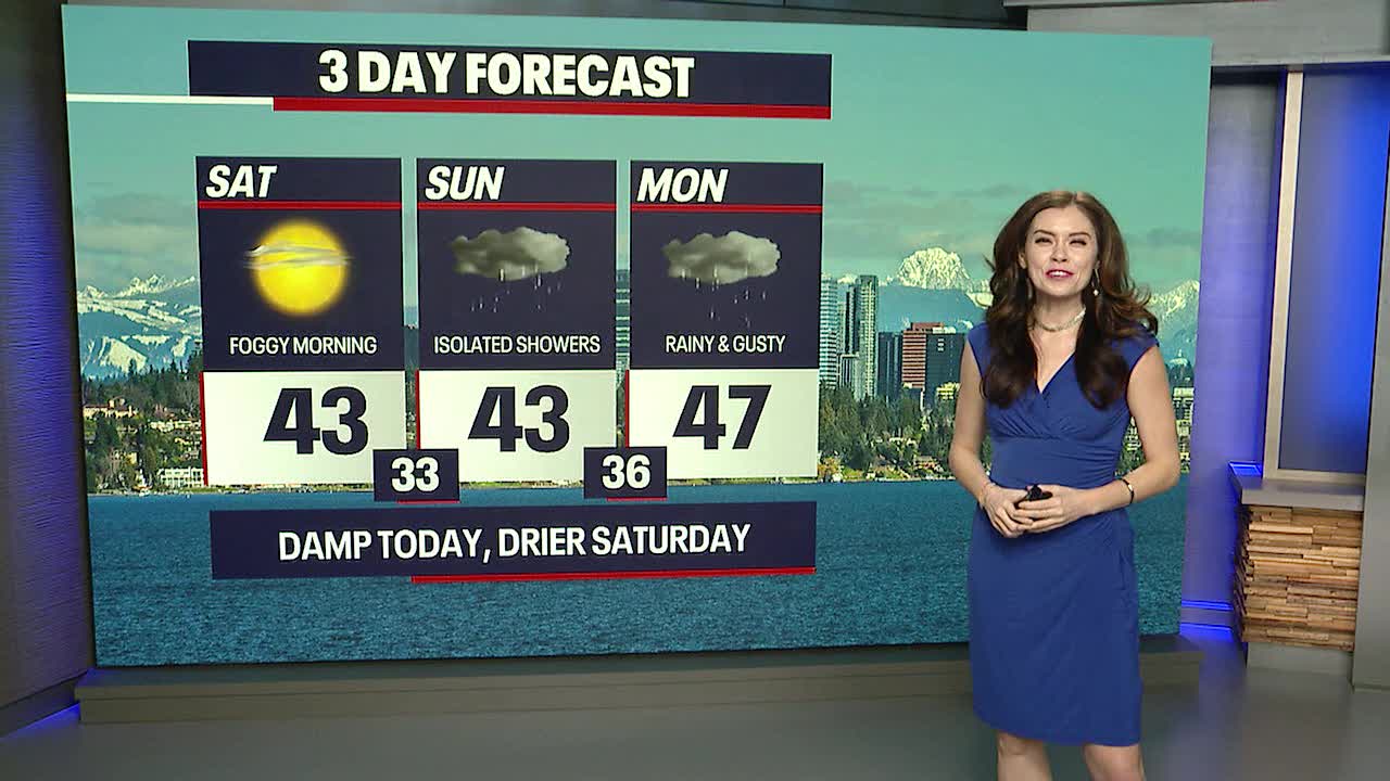 Foggy start to Saturday with afternoon sunshine