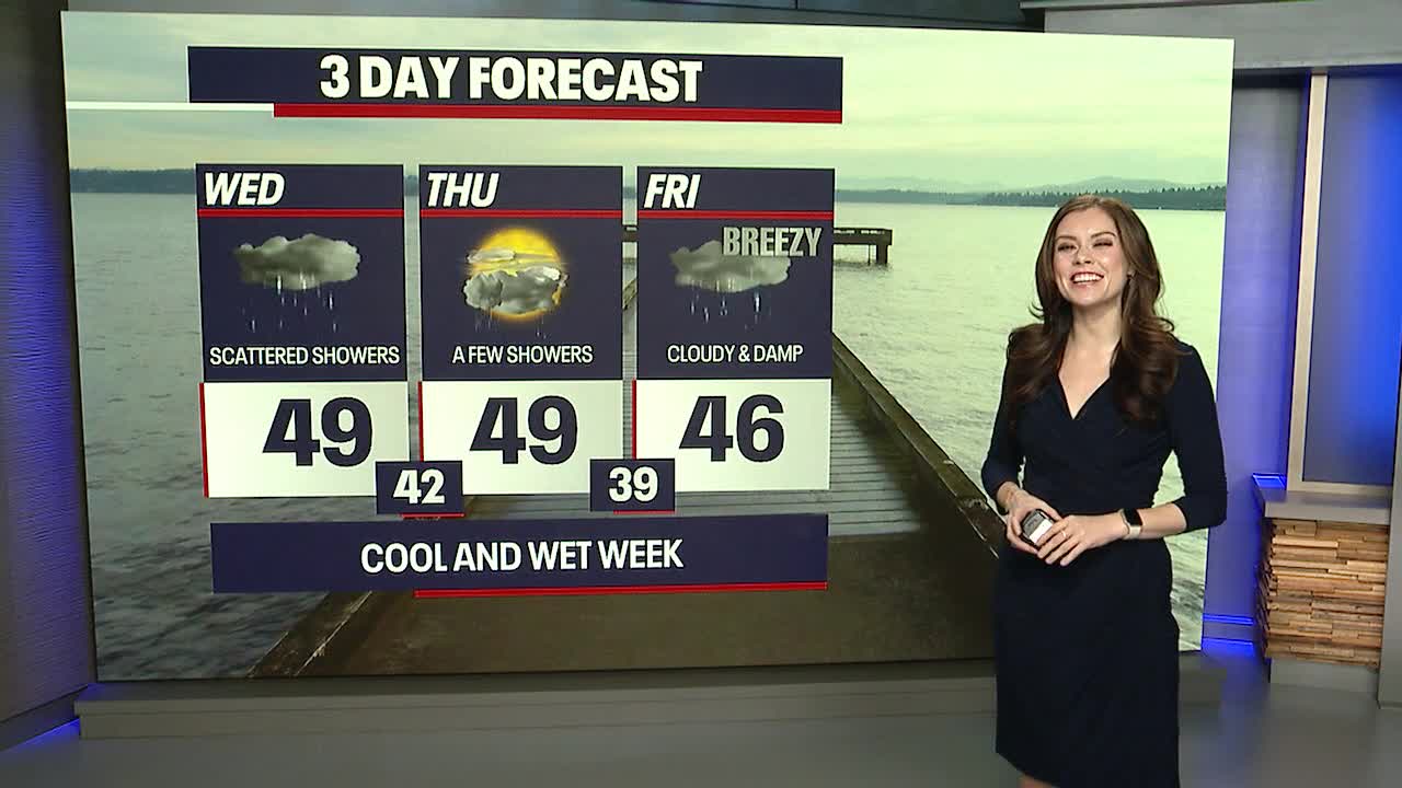 Scattered showers into Wednesday morning