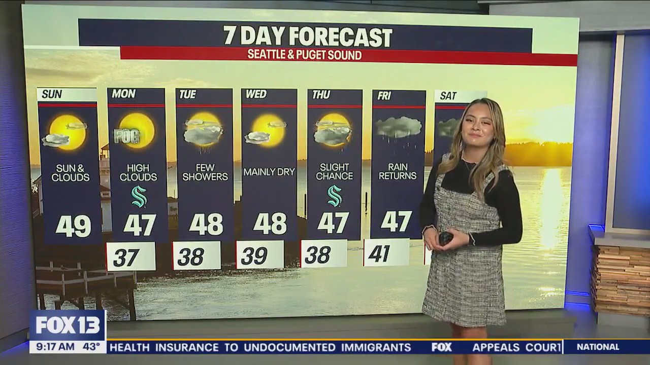 Brief break from the rain for New Year's Day