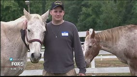 Horses for veterans